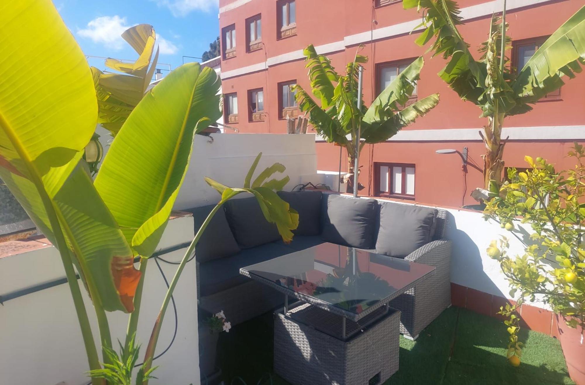 Agradable Casa Con Terraza Lejlighed La Laguna  Eksteriør billede